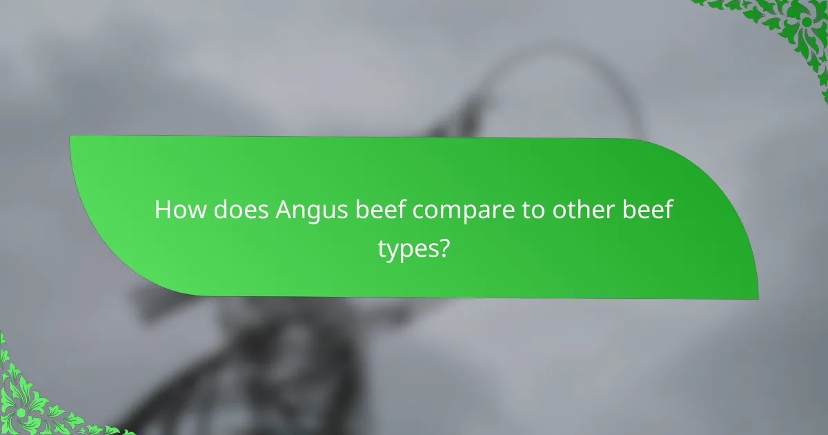 How does Angus beef compare to other beef types?
