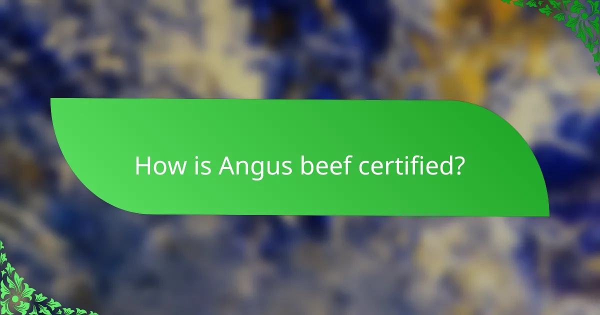 How is Angus beef certified?
