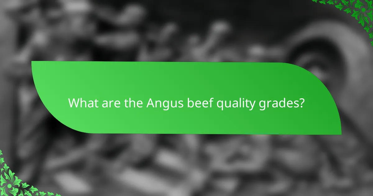 What are the Angus beef quality grades?