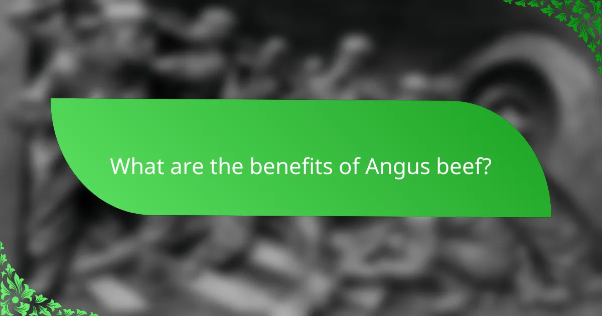 What are the benefits of Angus beef?