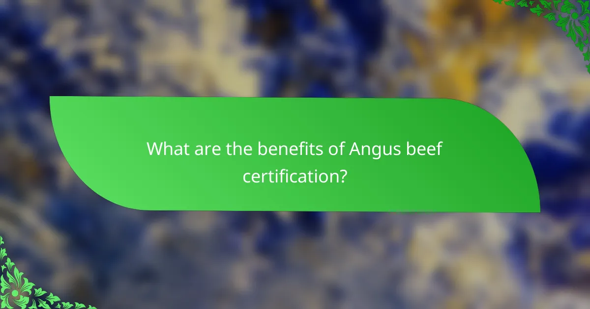 What are the benefits of Angus beef certification?
