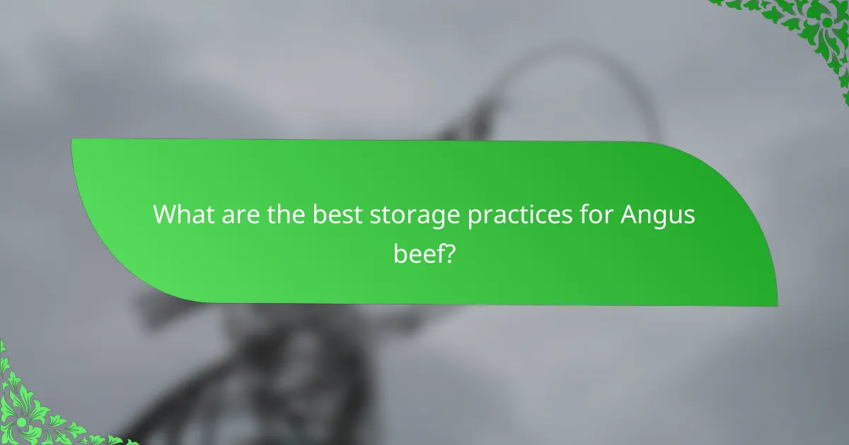 What are the best storage practices for Angus beef?
