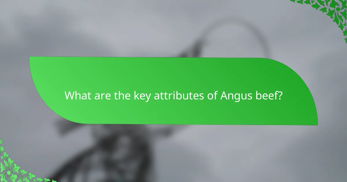 What are the key attributes of Angus beef?