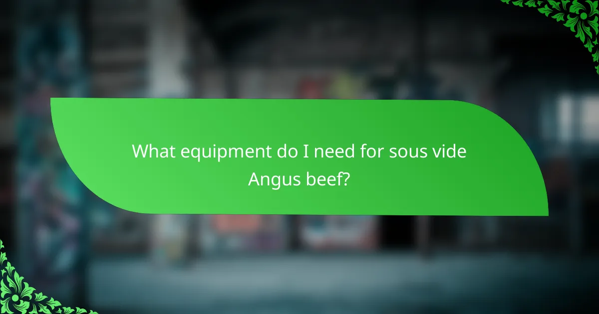 What equipment do I need for sous vide Angus beef?